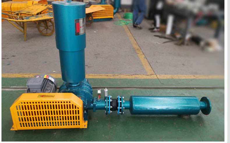 三叶罗茨鼓黄瓜视频黄色下载工厂实拍