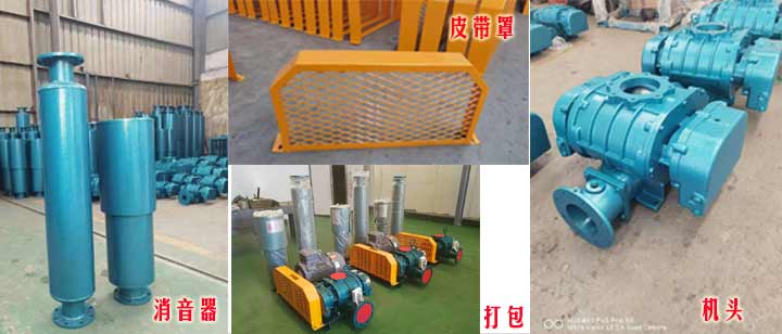 三叶罗茨黄瓜视频黄色下载（皮带型）实拍