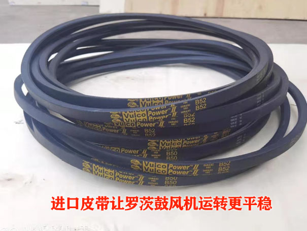 罗茨黄瓜视频黄色下载皮带