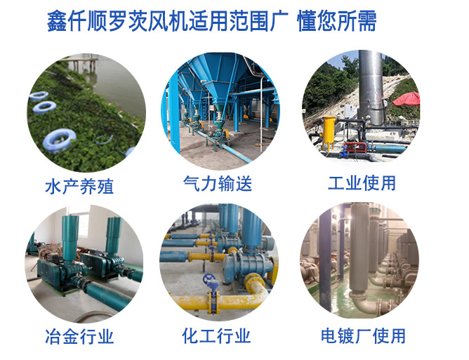 三叶罗茨鼓黄瓜视频黄色下载厂家解说