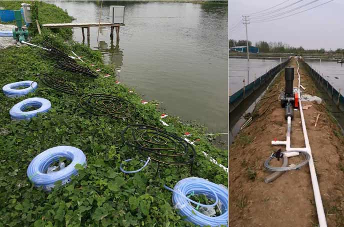 水产养殖供氧曝气罗茨黄瓜视频黄色下载