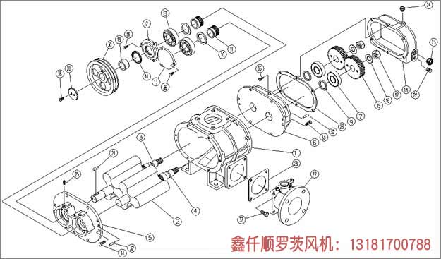 罗茨黄瓜视频黄色下载工作组成部件